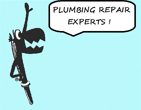 Plumbing Repair Experts